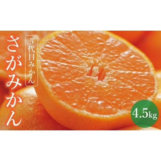 ふるさと納税 果物類 みかん 佐賀県 上峰町 期間限定 さがみかん (5代目みかん) 4.5kg 温州みかん 甘い 濃厚 ジューシー コク 完熟 熟成みかん 蔵出し 蔵入り…