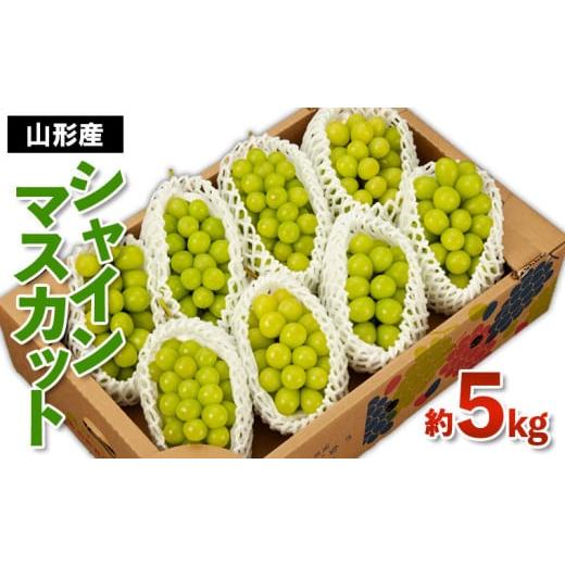 ふるさと納税 ぶどう マスカット 山形県 山形市 山形産 シャインマスカット 秀 約5kg 令和8年産先行予約 FS24-748 くだもの 果物 フルーツ 山形 山形県 山形市…の画像