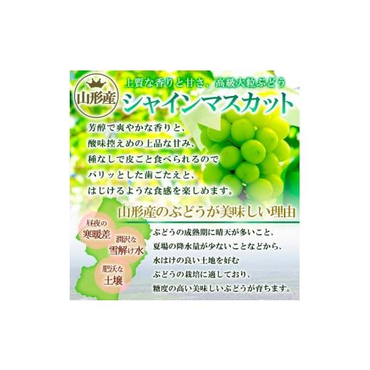 ふるさと納税 ぶどう マスカット 山形県 山形市 山形産 シャインマスカット 秀 約5kg 令和8年産先行予約 FS24-748 くだもの 果物 フルーツ 山形 山形県 山形市…の画像