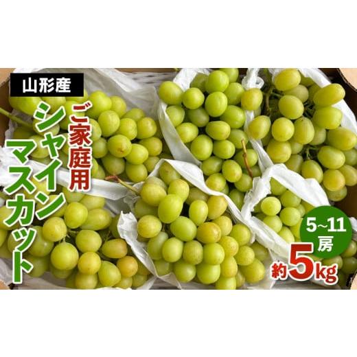 ふるさと納税 ぶどう マスカット 山形県 山形市 ご家庭用 山形産 シャインマスカット 約5kg (5房〜11房) 令和8年産先行予約 FS24-749 くだもの 果物 フルー…