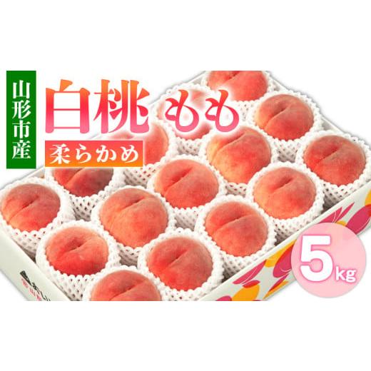 ふるさと納税 もも 山形県 山形市 山形市産 白桃 もも 5kg 柔らかめ(10〜16玉) 令和8年産先行予約 FS24-752 くだもの 果物 フルーツ 山形 山形県 山形市 2026…
