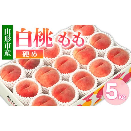 ふるさと納税 もも 山形県 山形市 山形市産 白桃 もも 5kg 硬め(10〜16玉) 令和8年産先行予約 FS24-753 くだもの 果物 フルーツ 山形 山形県 山形市 2026年産