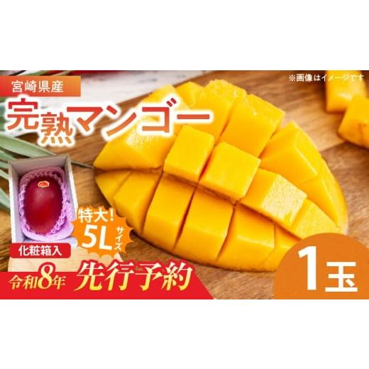 ふるさと納税 マンゴー 宮崎県 日南市 特大5Lサイズ 宮崎県産 完熟マンゴー 1玉 化粧箱入り 令和8年発送分 期間限定 数量限定 フルーツ 果物 くだもの 国産 食…