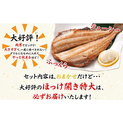 ふるさと納税 干物 ホッケ 北海道 鹿部町  定期便 全6回 隔月お届け 訳あり 干物 おまかせ詰め合わせセット 3.5kg以上 真ホッケ 縞ホッケ サバの画像