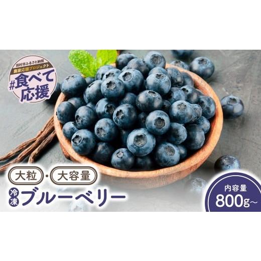ふるさと納税 果物類 福島県 田村市 大粒 冷凍 ブルーベリー 1.5kg ( 500g × 3袋 ) 福島県 田村市 ゆぶねブルーベリー園 1.5kg(500g×3袋)