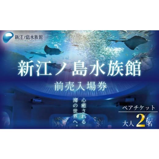 ふるさと納税 入場券・優待券 神奈川県 藤沢市 観光 水族館 新江ノ島水族館 チケット 前売 入場券 大人 2枚 チケット イルカショー 利用券 引換券 券 体験チケ…_1