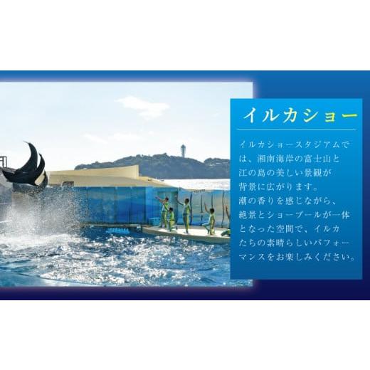 ふるさと納税 入場券・優待券 神奈川県 藤沢市 観光 水族館 新江ノ島水族館 チケット 前売 入場券 大人 2枚 チケット イルカショー 利用券 引換券 券 体験チケ…_5