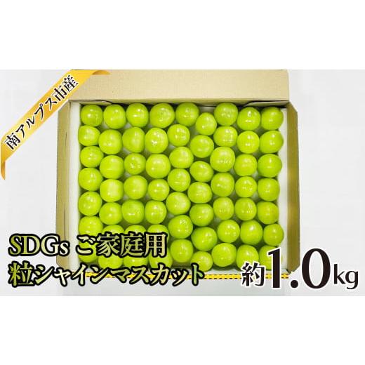 ふるさと納税 ぶどう マスカット 山梨県 南アルプス市 2026年発送分先行予約 SDGs ご家庭用 粒シャインマスカット約1.0kg AL
