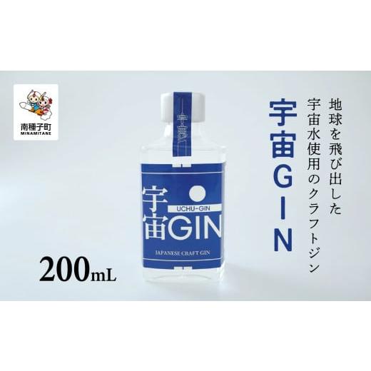ふるさと納税 お酒 リキュール 鹿児島県 南種子町 宇宙GIN 200mL 宇宙GIN 200mL