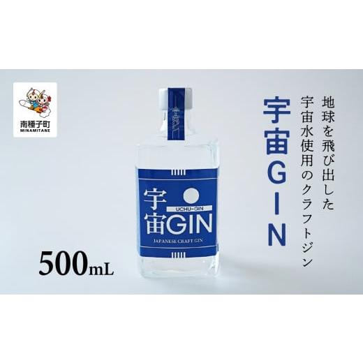 ふるさと納税 お酒 リキュール 鹿児島県 南種子町 宇宙GIN 500mL 宇宙GIN 500mL