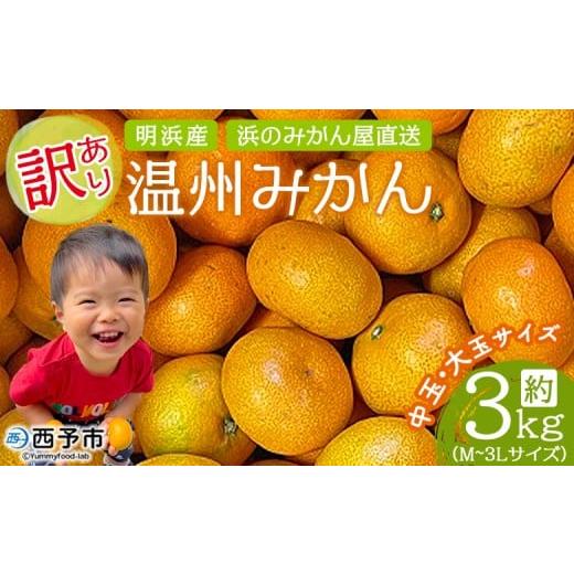 ふるさと納税 果物類 みかん 愛媛県 西予市 訳あり 温州みかん 約3kg 中玉 大玉 明浜産 果物 フルーツ 蜜柑 うんしゅうみかん ウンシュウミカン 柑橘 家庭用 …