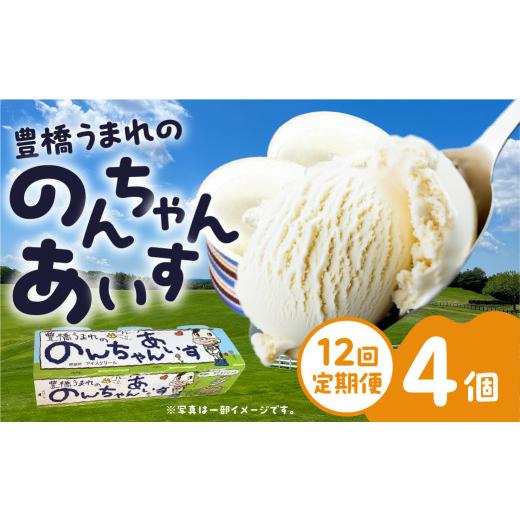 ふるさと納税 菓子 アイス 愛知県 豊橋市 豊橋うまれののんちゃんあいす4個セット　12回定期便_1