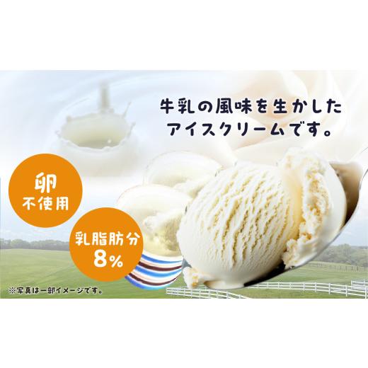 ふるさと納税 菓子 アイス 愛知県 豊橋市 豊橋うまれののんちゃんあいす4個セット　12回定期便_3