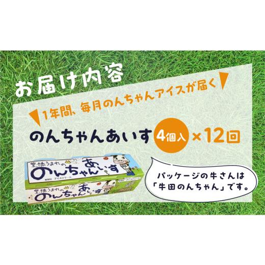 ふるさと納税 菓子 アイス 愛知県 豊橋市 豊橋うまれののんちゃんあいす4個セット　12回定期便_4