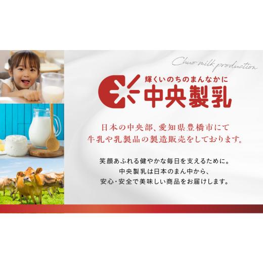 ふるさと納税 菓子 アイス 愛知県 豊橋市 豊橋うまれののんちゃんあいす4個セット　12回定期便_5