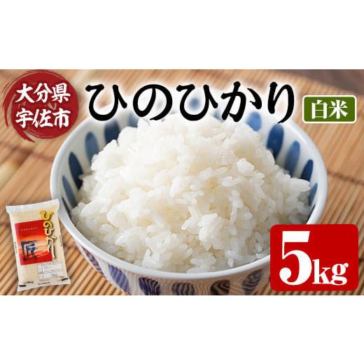ふるさと納税 米 ヒノヒカリ 大分県 宇佐市 先行予約受付中 2025年10月 