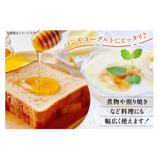 ふるさと納税 加工品等 はちみつ 青森県 おいらせ町 はちみつ 国産 トチはちみつ 2kg 東養蜂場 青森県 おいらせ町 oi02ayo660000 蜂蜜 ハチミツ トチ蜂蜜の画像