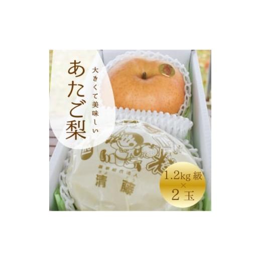 ふるさと納税 梨 岡山県 津山市 きよとうファーム あたご梨 上級品 2玉入(1.2kg級/玉)(岡山県産) 1559963