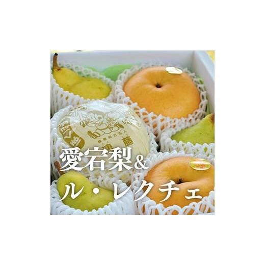 ふるさと納税 梨 岡山県 津山市 きよとうファーム あたご梨&amp;ル・レクチェ 上級品/5-7玉入(岡山県産) 1606507
