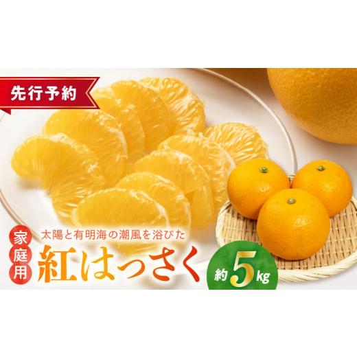 ふるさと納税 みかん・柑橘類 熊本県 宇土市 54-15 先行予約 福島オレンジ農園 紅ハッサク 約5kg(Lサイズ)
