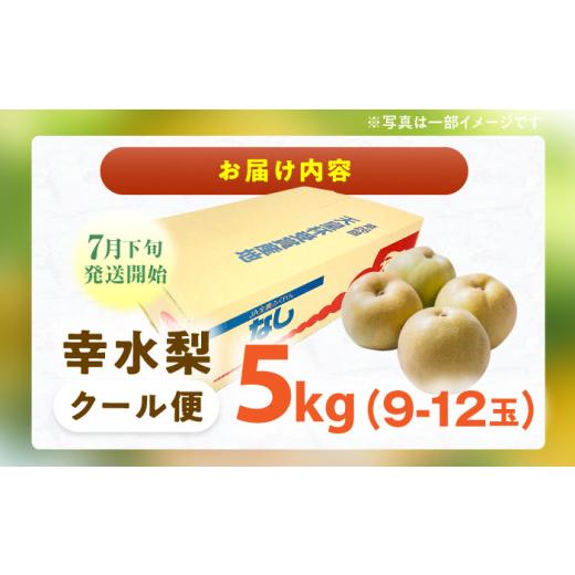 ふるさと納税 梨 福岡県 広川町 先行予約 2026年7月下旬以降発送 梨 