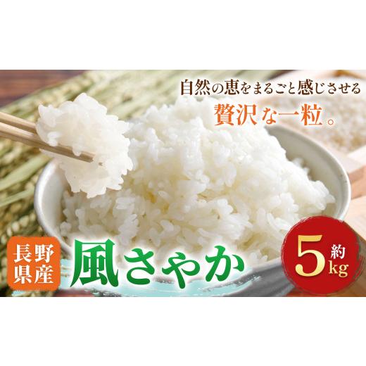 ふるさと納税 米 コシヒカリ 長野県 木島平村 木島平村産 風さやか 約5kg | 米 風さやか 長野 長野県 長野県産 木島平村 木島平村産