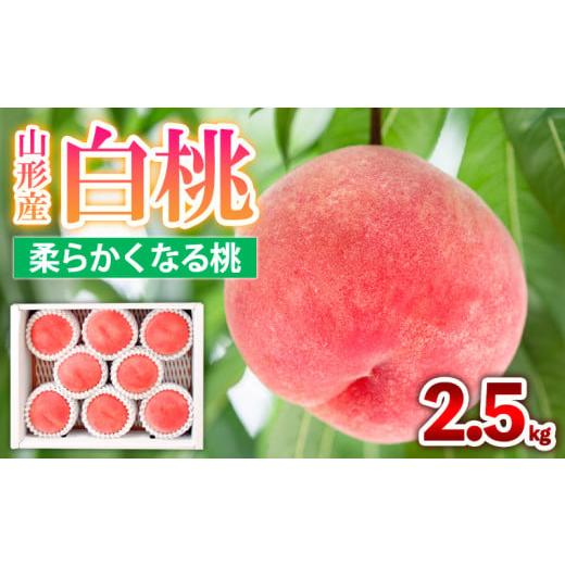 ふるさと納税 もも 山形県 山形市 山形産 白桃 柔らかくなる桃 2.5kg(7〜10玉) 秀品 品種おまかせ 令和8年産先行予約 FS25-603 くだもの 果物 フルーツ 山形 …