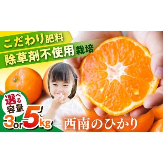 ふるさと納税 果物類 みかん 神奈川県 横須賀市 先行予約 約3kg 西南のひかり 蜜柑 ミカン 果物 柑橘 フルーツ 横須賀 志村農園 AKGH005-1 約3kg 西南のひか…