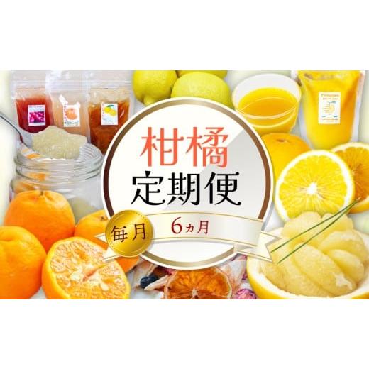 ふるさと納税 果物類 みかん 高知県 須崎市 定期便 6回 6ヶ月 果物 定期便 ぽんかん 土佐 文旦 オーガニック 無農薬 防腐剤 不使用 高知県 須崎市 柑橘 蜜柑 …