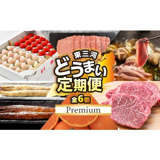 ふるさと納税 地域のお礼の品 愛知県 豊橋市 どうまいプレミアム定期便　6回お届け |  | 01