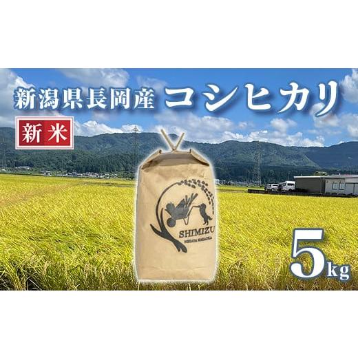 ふるさと納税 米 コシヒカリ 新潟県 長岡市 N5-051B新潟県長岡産コシヒカリ5kg