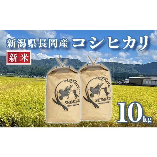ふるさと納税 米 コシヒカリ 新潟県 長岡市 N5-101B新潟県長岡産コシヒカリ10kg