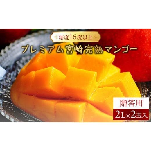 ふるさと納税 マンゴー 宮崎県 串間市 先行予約 糖度16度以上のプレミアム宮崎完熟マンゴー(2L×2玉入・贈答用) 2箱 ギフト用 果物 マンゴー 完熟 完熟マンゴ…