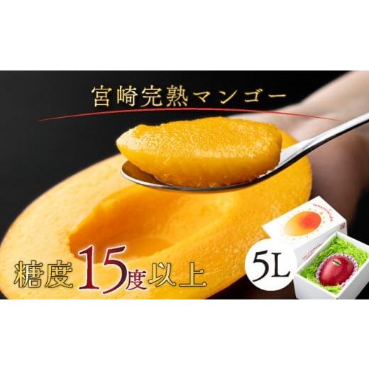 ふるさと納税 マンゴー 宮崎県 串間市 やました農園 先行予約 糖度15度以上の宮崎完熟マンゴー(5L×1玉入・贈答用) ギフト用 1箱 AE-C2 1箱