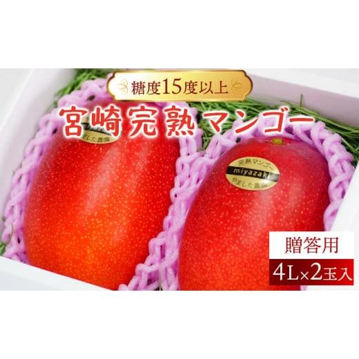 ふるさと納税 マンゴー 宮崎県 串間市 やました農園 先行予約 特大サイズ 累計11,000玉申込突破 糖度15度以上の高評価の宮崎完熟マンゴー(4L×2玉入・贈答用)…