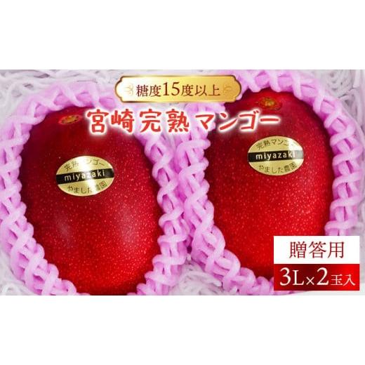 ふるさと納税 マンゴー 宮崎県 串間市 やました農園 先行予約 糖度15度以上の高評価の宮崎完熟マンゴー(3L×2玉入・贈答用) ギフト用 1箱 AE-CD3 1箱