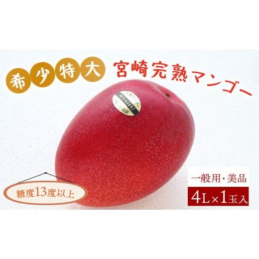 ふるさと納税 マンゴー 宮崎県 串間市 やました農園 先行予約 糖度平均15度以上 高評価の希少な特大宮崎完熟マンゴー(4L×1玉入)一般用・美品 濃厚な甘さ…