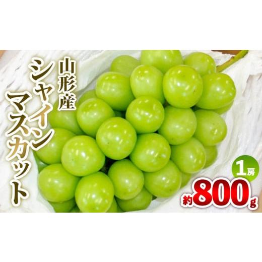 ふるさと納税 ぶどう マスカット 山形県 山形市 山形産 シャインマスカット 約800g 1房 秀品 令和8年産先行予約 FS25-607 くだもの 果物 フルーツ 山形 山形県…