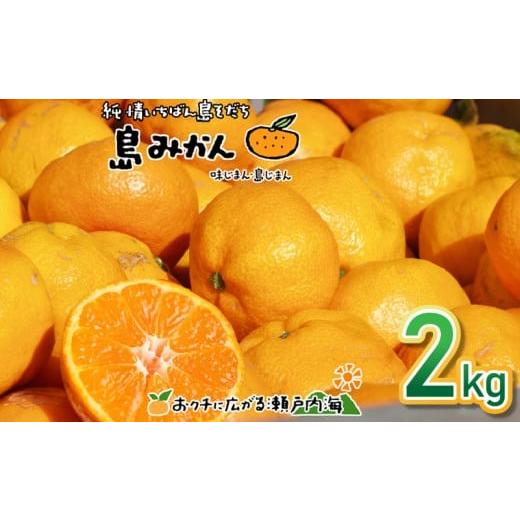 ふるさと納税 みかん・柑橘類 愛媛県 松山市 11月下旬頃から発送予定 温州みかん 2kg 愛媛 中島産 希望の島 家庭用 みかん 柑橘 2kg