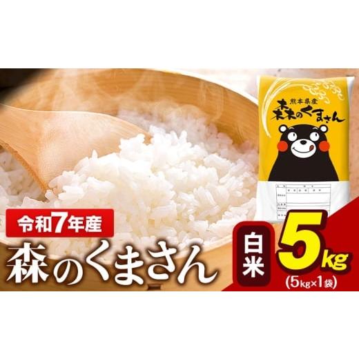 ふるさと納税 米 熊本県 玉東町 令和7年産 森のくまさん 5kg × 1袋 白米 熊本県産 単一原料米 森くま[7-14日以内に出荷予定(土日祝除く)] 送料無料