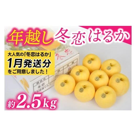 ふるさと納税 りんご 岩手県 紫波町 年明け発送 りんご 「年越し 冬恋はるか 約2.5kg 」 糖度15度以上 数量限定 岩手県産 りんご リンゴ 林檎 冬恋 はるか フ…