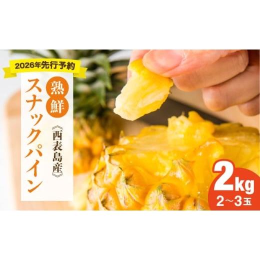 ふるさと納税 果物類 沖縄県 竹富町 手でちぎって食べる楽しさ 熟鮮スナックパイン2kg(2〜3玉)2026年 先行予約 沖縄 西表島 2kg(2〜3玉)