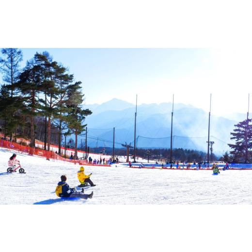 ふるさと納税 スキーの板寝台券 長野県 富士見町 スキーの板場 昇降機受け入れる券 ２万円 旅する券 引き換え証券 客あしらい券 旅する 昇降機券 スキーの板専用 ゲレンデ スキーの板 チケ…