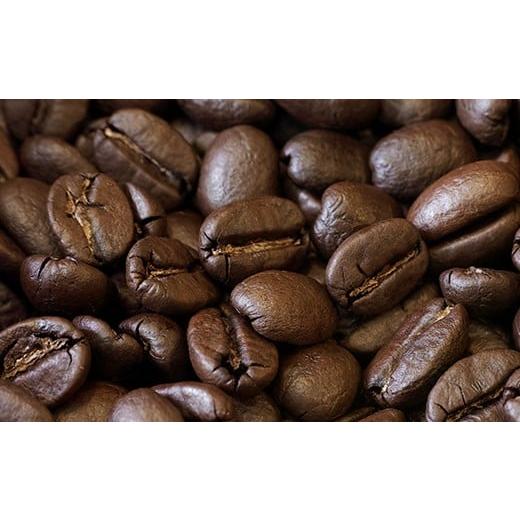 ふるさと納税 コーヒー コーヒー豆 福岡県 嘉麻市 豆 タンザニアオルディアニセット AA++ 合計400g コーヒー タンザニアオルディアニセット 豆