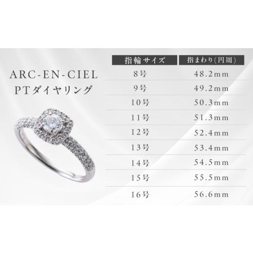 ふるさと納税 アクセサリー リング 大阪府 泉佐野市 高島屋選定品 プラチナダイヤモンド リング 中石ダイヤ 0.3ct D IF 3EX (GIA) 鑑別書付き ARC-EN-CIEL (…_4