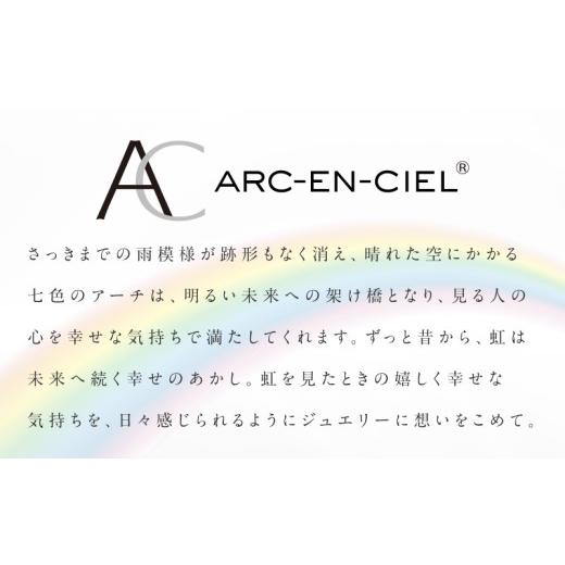 ふるさと納税 アクセサリー リング 大阪府 泉佐野市 高島屋選定品 プラチナダイヤモンド リング 中石ダイヤ 0.5ct D SI2 EX (GIA) 鑑別書付き ARC-EN-CIEL (…_3