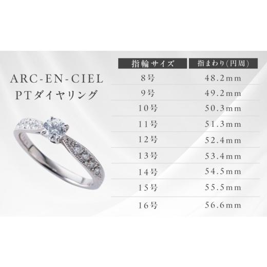 ふるさと納税 アクセサリー リング 大阪府 泉佐野市 高島屋選定品 プラチナダイヤモンド リング 中石ダイヤ 0.5ct D SI2 EX (GIA) 鑑別書付き ARC-EN-CIEL (…_4