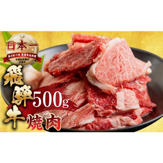 ふるさと納税 牛肉 焼肉・バーベキュー 岐阜県 本巣市 5月発送 訳あり 飛騨牛 焼肉 切り落とし 500g | 牛肉 肉 切落し わけあり ワケアリ 不揃い 冷凍 本巣市…