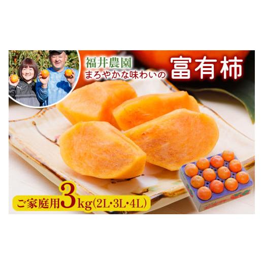 ふるさと納税 果物類 柿 岐阜県 本巣市 先行予約/令和7年産 [柿の王様]福井農園の富有柿 ご家庭用 3kg (10〜12個入) 2L、3L、4Lサイズ 11月〜12月に発送予…