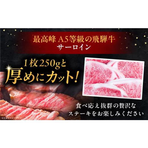ふるさと納税 牛肉 サーロイン 岐阜県 恵那市  12回定期便 牛肉 飛騨牛 サーロインステーキ (A5ランク) 1パック (250g×2枚) ／ 飛騨牛 サーロインステーキ サ…_2